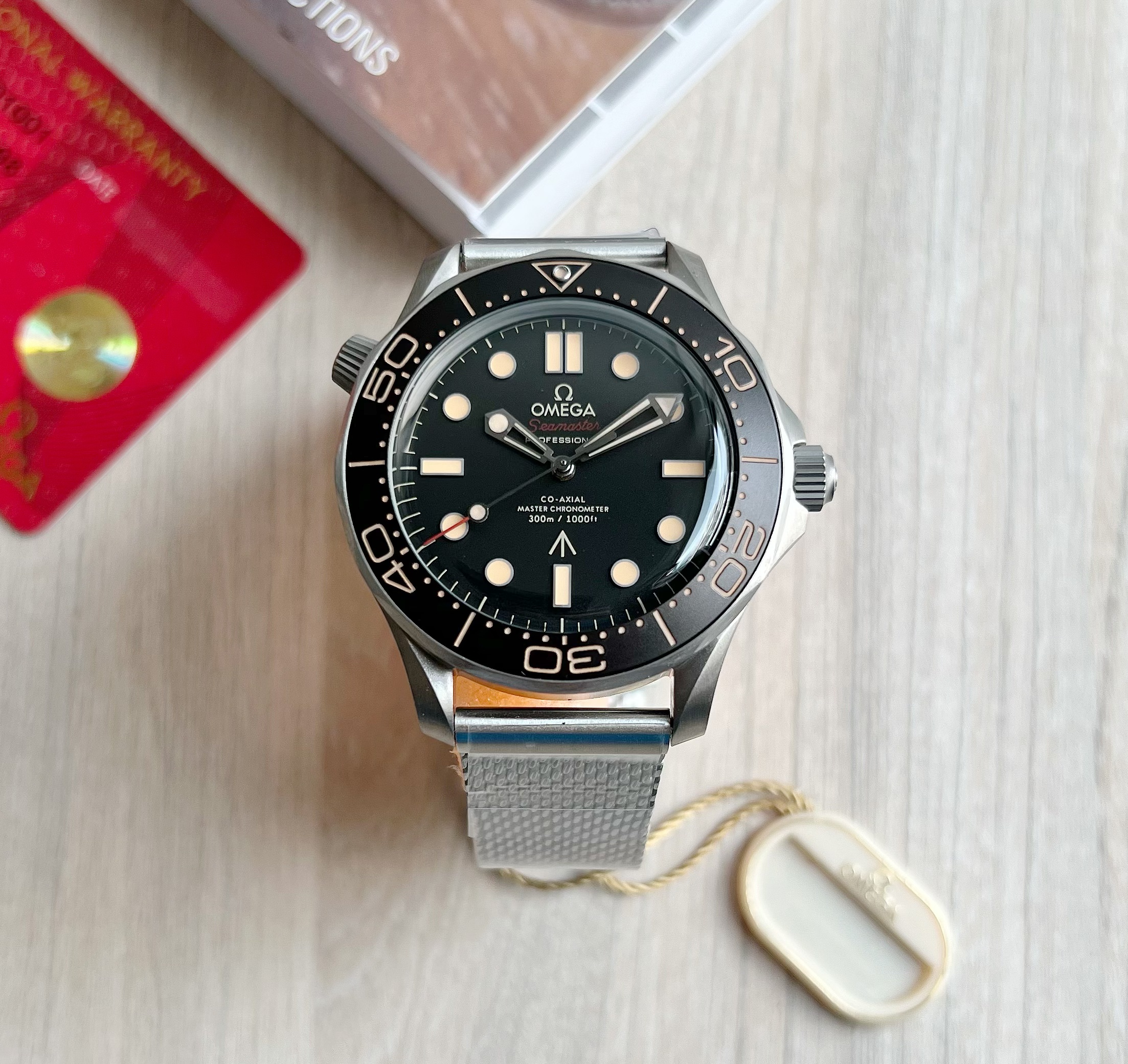 Seamaster Professional